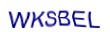 simple_captcha.jpg